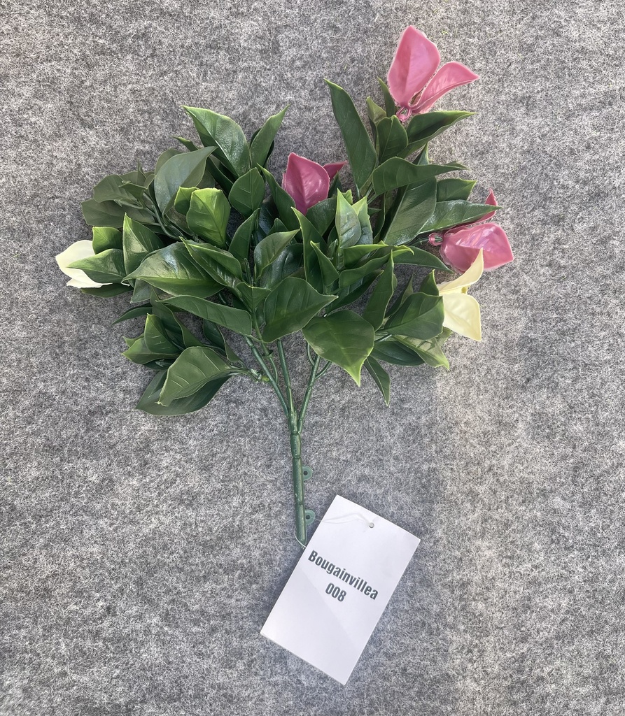 RAMILLETE BOUGAINVILLEA (CCGW008)