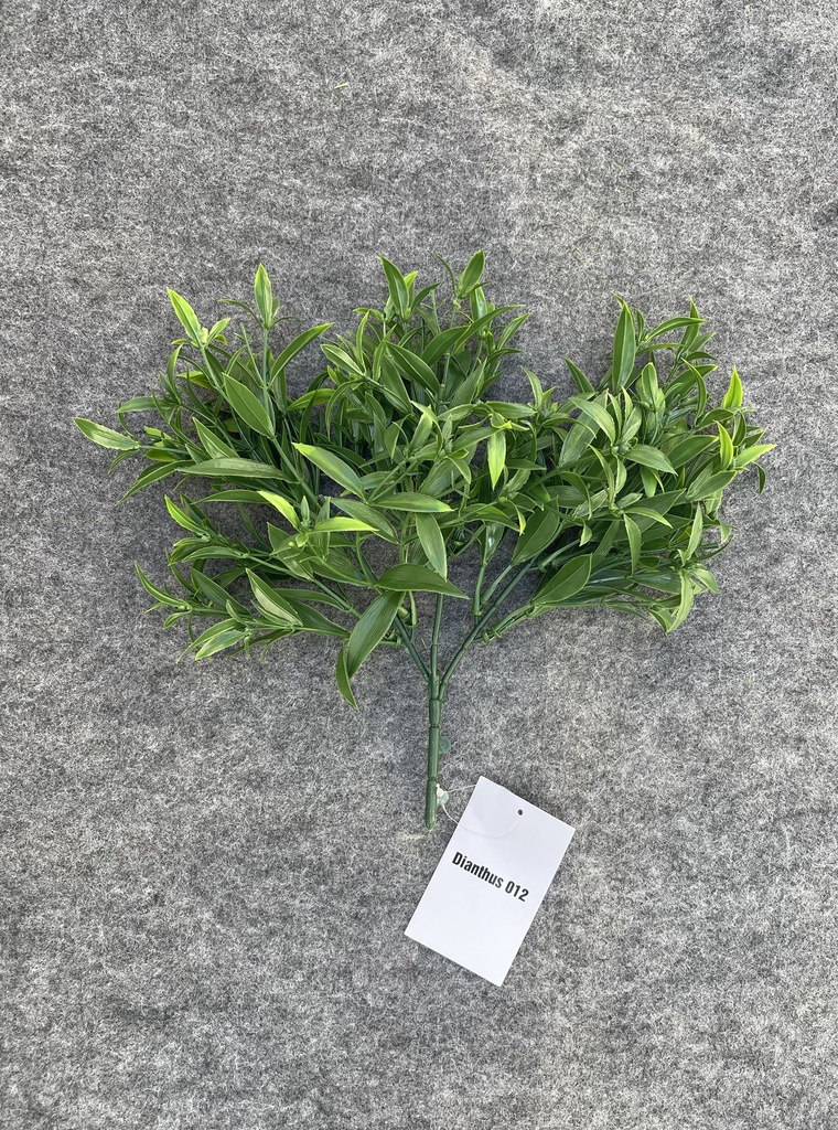 RAMILLETE DIANTHUS (CCGW012)