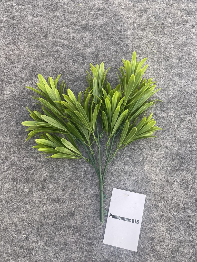 RAMILLETE PODOCARPUS (CCGW016)