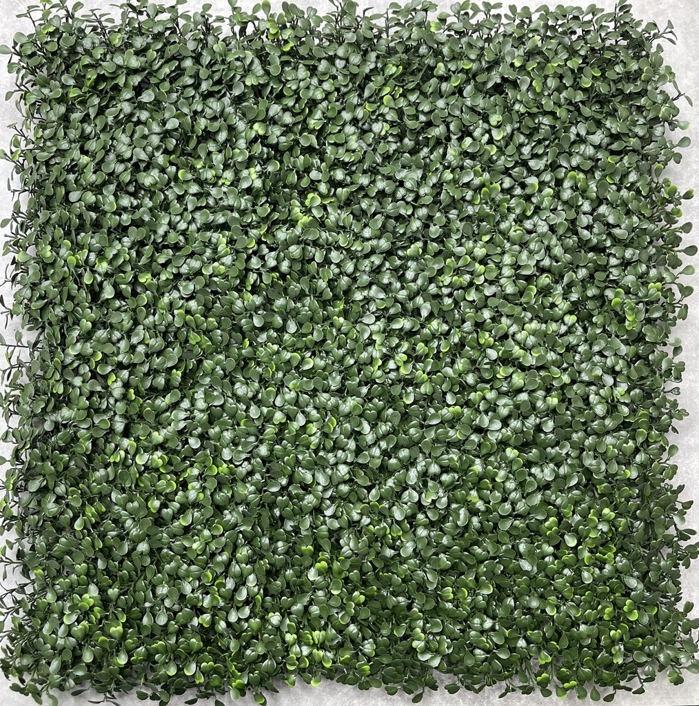 FOLLAJE BOXWOOD (BW001) 50X50CM
