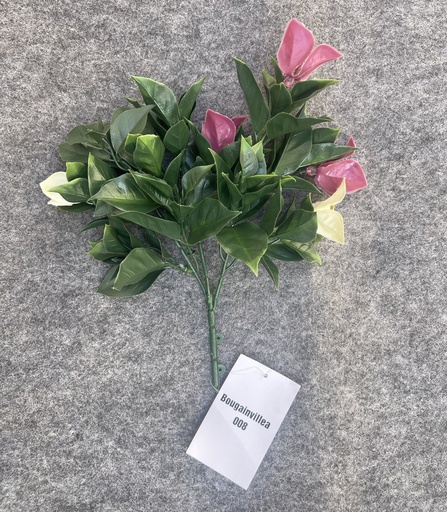 RAMILLETE BOUGAINVILLEA (CCGW008)