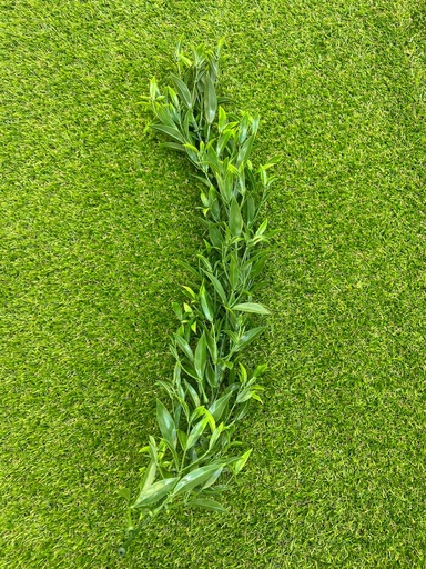 MATAS COLGANTES DK DIANTHUS CCGT003