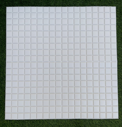 PANEL 3D RUGBY BLANCO
