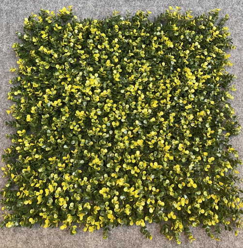 FOLLAJE BUXUS SINICA (BS001) 50X50