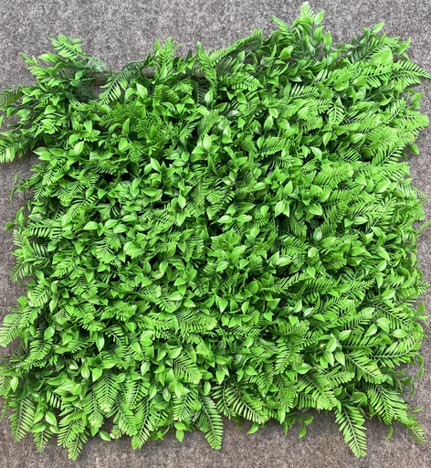 FOLLAJE PACHYSANDRA 50X50CM